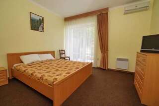 Гостиница Солнечный Ольгинка Двухместный номер с 1 кроватью или 2 отдельными кроватями-3